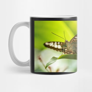 Butterfly on a Leaf Mug